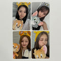 KISS OF LIFE - WHO IS SHE APPLE MUSIC AM FANSIGN POB PHOTOCARD