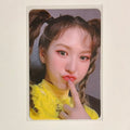 WENDY (RED VELVET) - RBB ALBUM PHOTOCARD