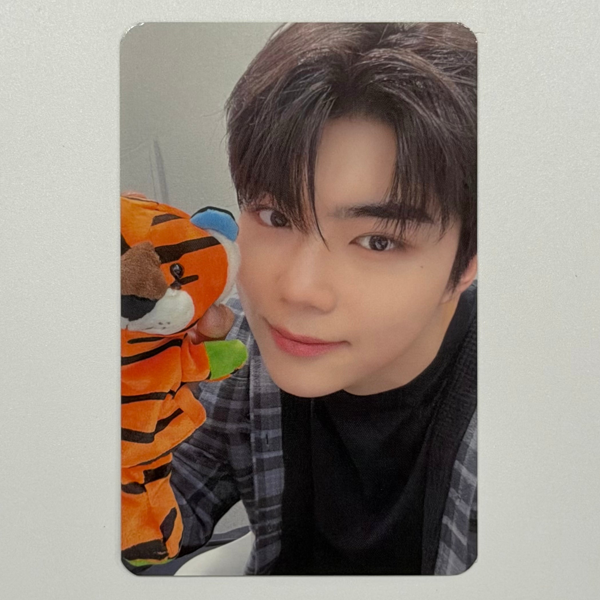 GUNWOOK (ZEROBASEONE ZB1) - MELTING POINT EVERLINE EL POB PHOTOCARD