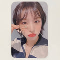 WENDY (RED VELVET) - 2024 BIRTHDAY PHOTOCARD