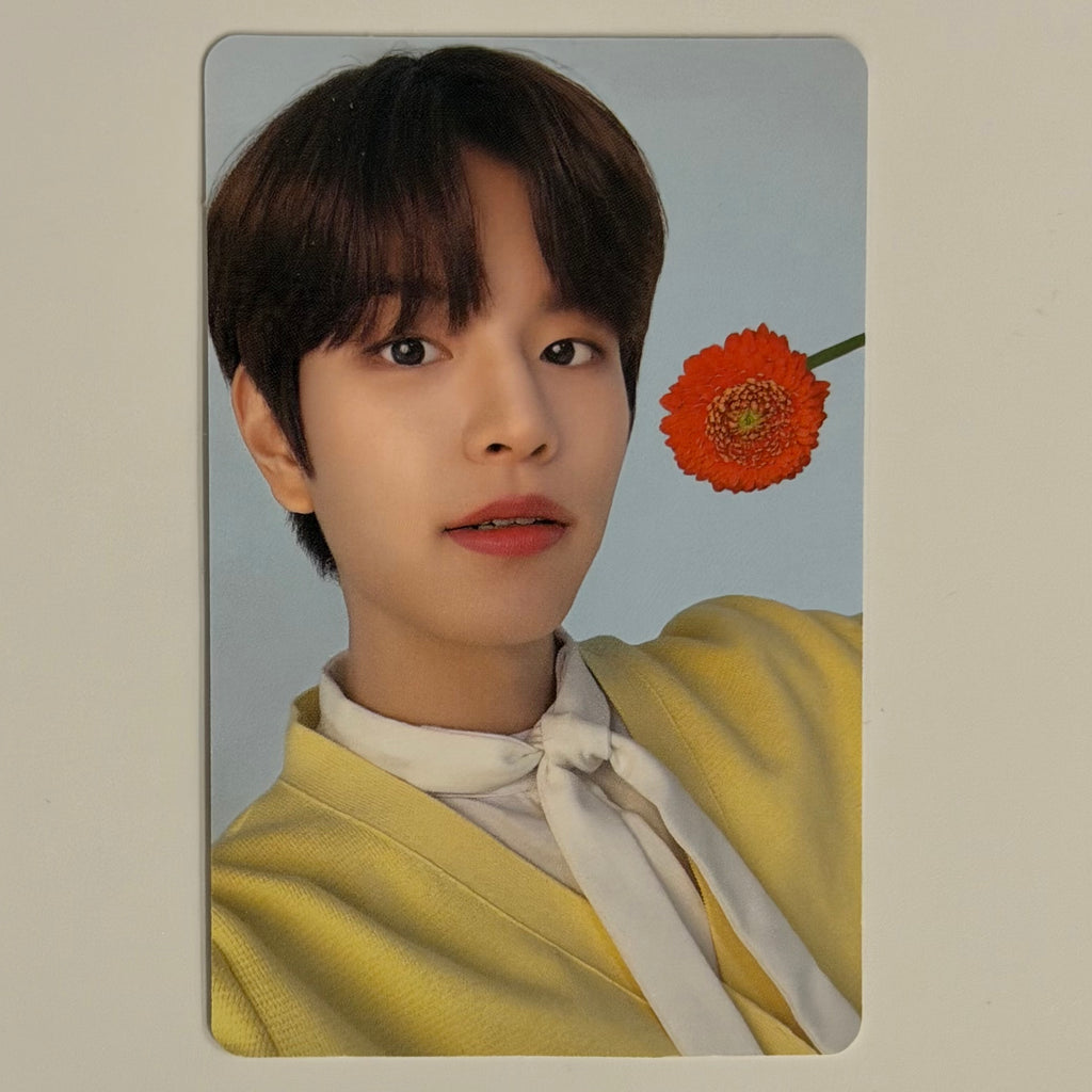 SEUNGMIN (STRAY KIDS) - Stray Kids x Nacific NAC PHOTOCARD (DOUBLE SIDED)
