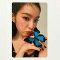 IRENE (RED VELVET) - LIKE A FLOWER ALBUM PHOTOCARD