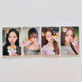 KISS OF LIFE - WHO IS SHE HELLOLIVE FANSIGN POB PHOTOCARD