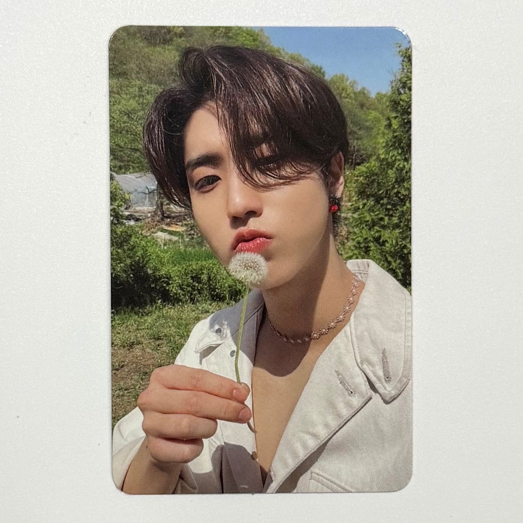 HAN (STRAY KIDS) - MAXIDENT ALBUM PHOTOCARD