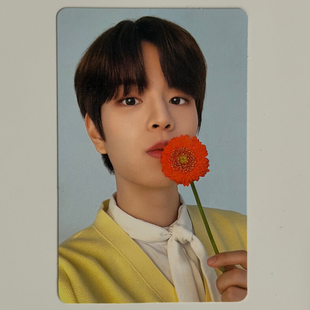 SEUNGMIN (STRAY KIDS) - Stray Kids x Nacific NAC PHOTOCARD (DOUBLE SIDED)